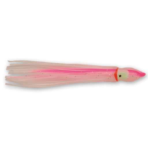 P-Line Sunrise Squid