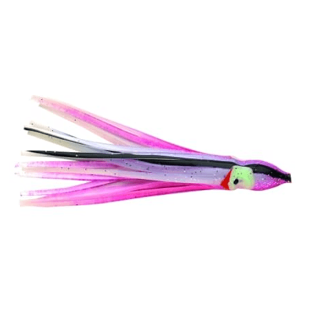 P-Line Sunrise Squid